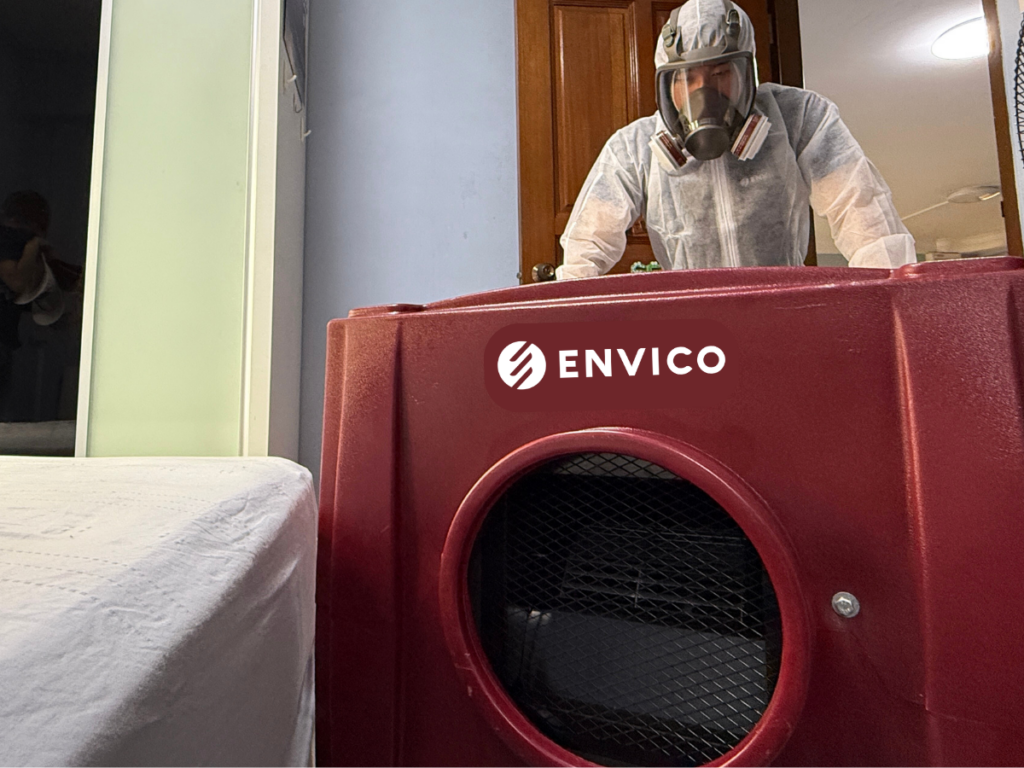 Envico: Removing mould spores