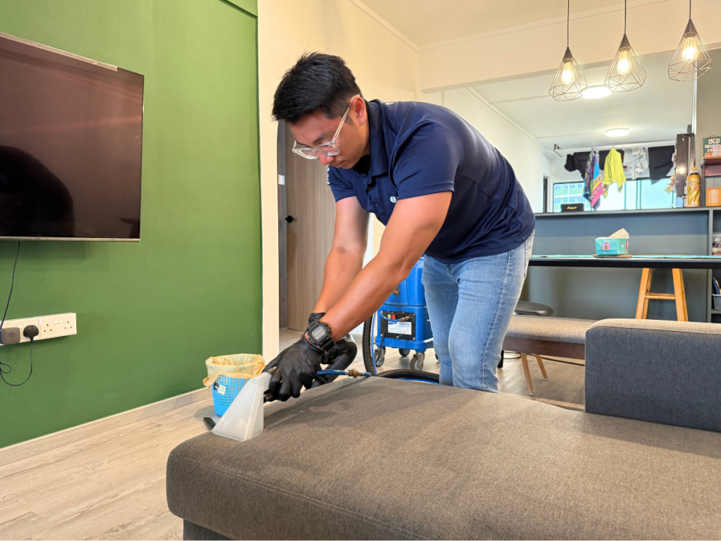 Envico: Fabric sofa mould removal