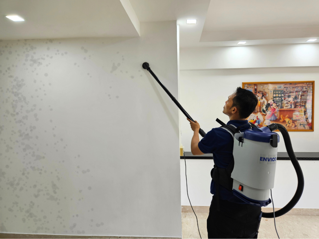 Envico: Mould extraction from contaminated wall.